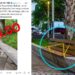 Aclaran que trabajos en Plaza Bolívar siguen en desarrollo