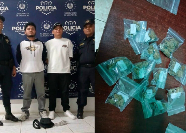 Borrador automático