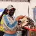 Emotiva celebración de cumpleaños fortalece el ánimo de voluntarios en campamento humanitario de La Guaira