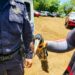 Tucán herido es rescatado tras ser encontrado en el techo de una empresa en San Miguel