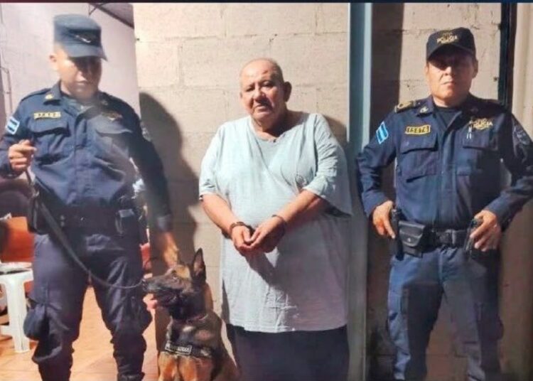 Capturan a hombre de 66 años encargado de distribuir droga en Santa Ana Oeste