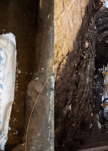 Encuentran osamentas prehispánicas durante excavación en Antiguo Cuscatlán