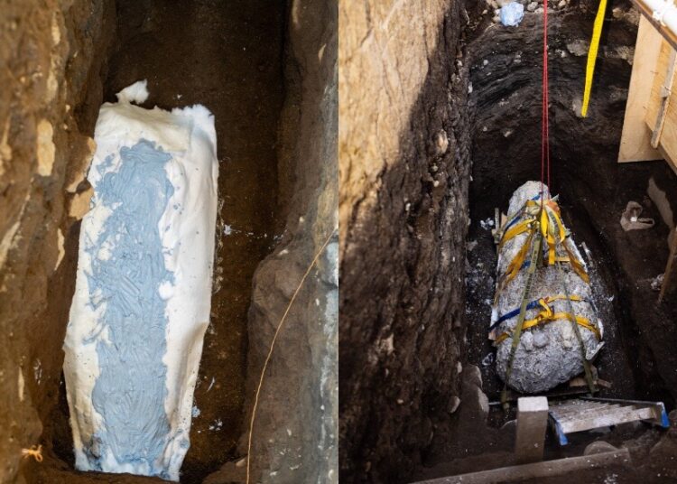 Encuentran osamentas prehispánicas durante excavación en Antiguo Cuscatlán