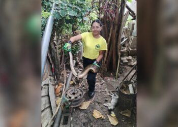Serpiente atacó a unos gatos en Zaragoza