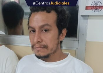 Imponen trabajo de utilidad pública a hombre por tala de árbol protegido en Santa Ana