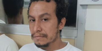 Imponen trabajo de utilidad pública a hombre por tala de árbol protegido en Santa Ana