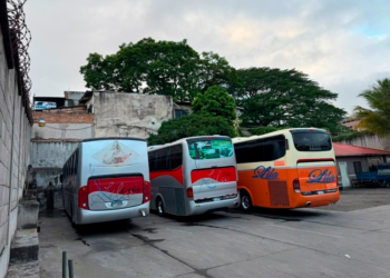 Transportistas hondureños advierten sobre paro nacional por aumento de extorsiones