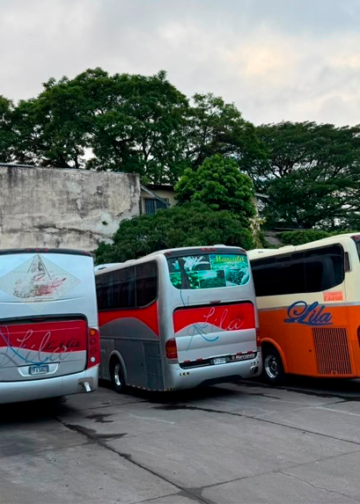 Transportistas hondureños advierten sobre paro nacional por aumento de extorsiones