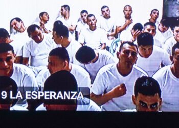 Hasta 75 años de prisión para pandilleros de la MS
