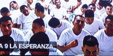 Hasta 75 años de prisión para pandilleros de la MS