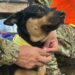 Fénix, la perrita rescatada en Venezuela, será entrenada para salvar vidas junto a la Unidad Humanitaria de Rescate
