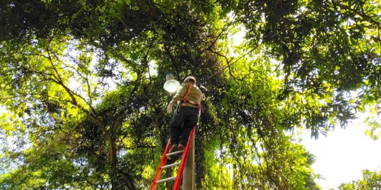 Alcaldía continúa instalando luminarias en comunidades de Santa Ana Centro