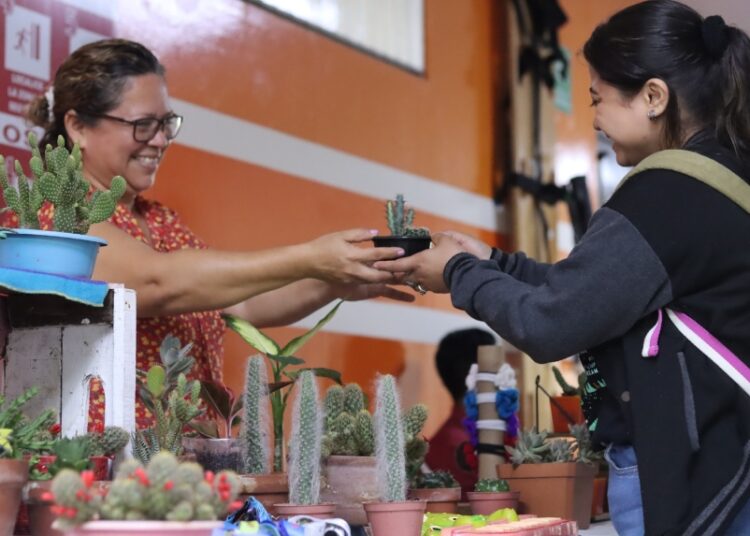 Mujer y Negocios fortalece a emprendedoras y genera nuevas oportunidades económicas