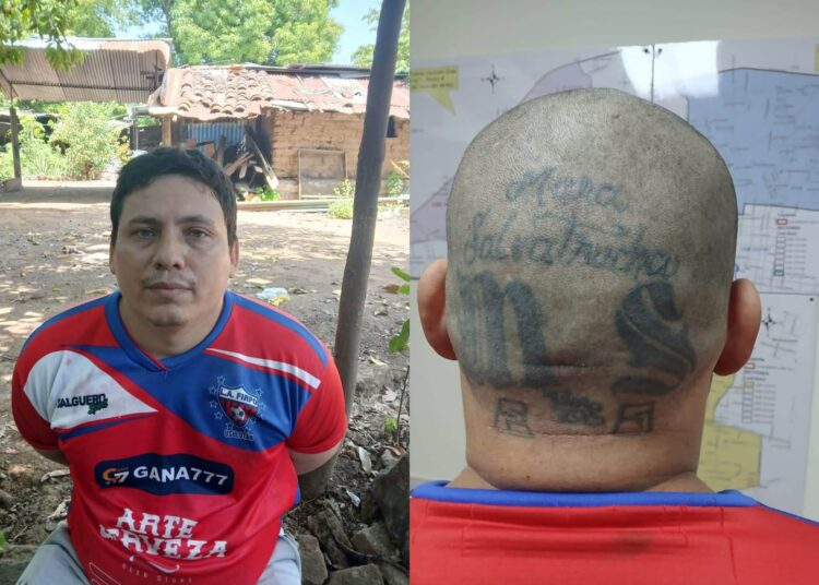 Capturan a pandillero que se dejaba crecer el cabello para ocultar sus tatuajes