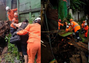 Árbol cae sobre río y daña dos viviendas y un puente peatonal en San Salvador