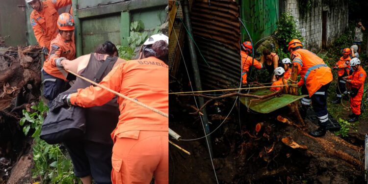 Árbol cae sobre río y daña dos viviendas y un puente peatonal en San Salvador