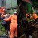 Árbol cae sobre río y daña dos viviendas y un puente peatonal en San Salvador