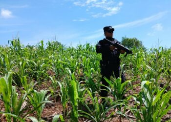 Septiembre continúa sumando días sin homicidios