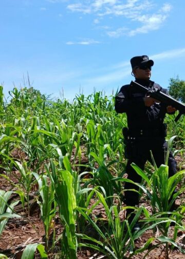 Septiembre continúa sumando días sin homicidios