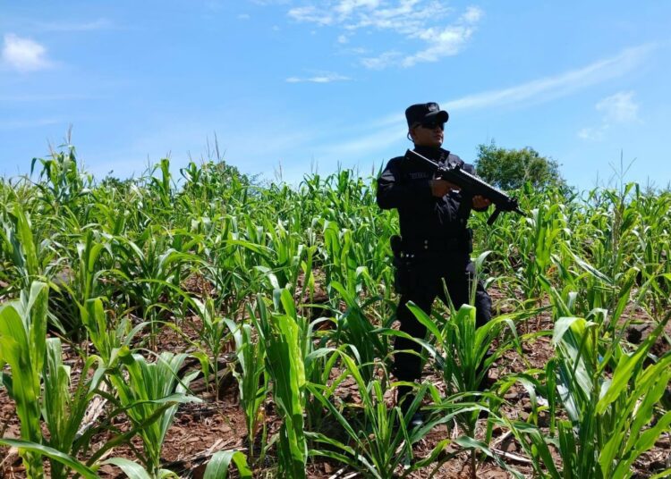 Septiembre continúa sumando días sin homicidios