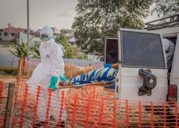 Ensayos de tres posibles vacunas contra el ébola comenzarían entre octubre y noviembre