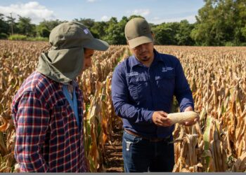 Ahuachapán podría consolidarse como uno de los principales graneros del país