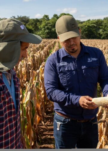 Ahuachapán podría consolidarse como uno de los principales graneros del país