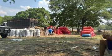 Más de 33,000 ganaderos son beneficiados con jornadas de atención y apoyo a este sector