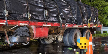 Motociclista pierde la vida tras colisionar contra un vehículo de carga