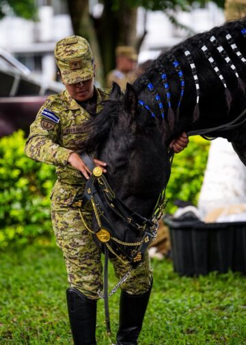 Caballería y Unidad Canina de la Fuerza Armada estarán presentes en la celebración patria
