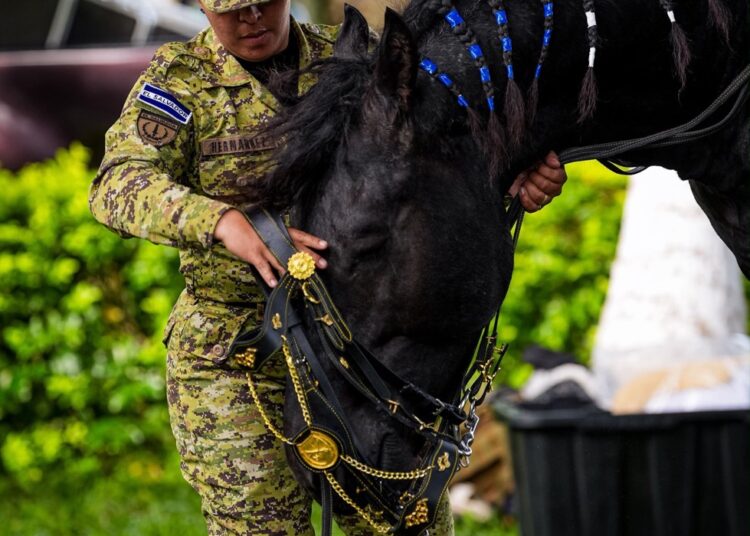 Caballería y Unidad Canina de la Fuerza Armada estarán presentes en la celebración patria