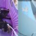 Denuncian abandono de gatitos dentro de una canasta en Santa Ana