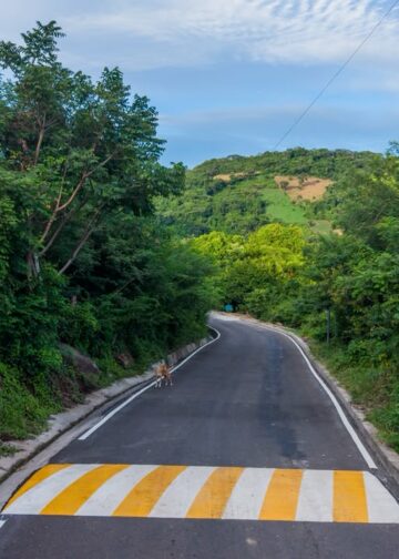 DOM inaugura nueva vía de 8 kilómetros en Apastepeque