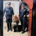 Sujeto asesinó a su sobrino y atacó con arma blanca otros cinco familiares en Ciudad Barrios