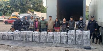 Ejecutan la mayor incautación de droga vía terrestre en la historia del país