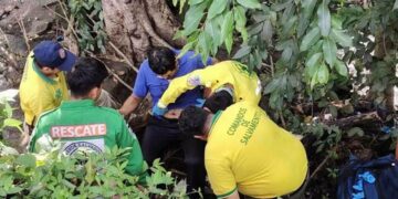 Vendedor cae a una quebrada tras accidente en la carretera Troncal del Norte 