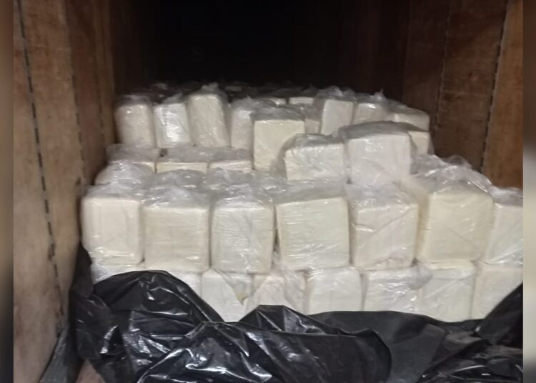 Detectan contrabando de queso contaminado
