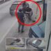 Familia busca a conductor que atropelló a un joven y huyó en carretera hacia La Libertad