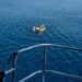 Buque mercante rescata a salvadoreña tras 20 horas en el mar Jónico