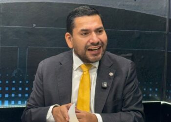 Diputado de ARENA cuestiona las acciones para fortalecer la producción agrícola nacional