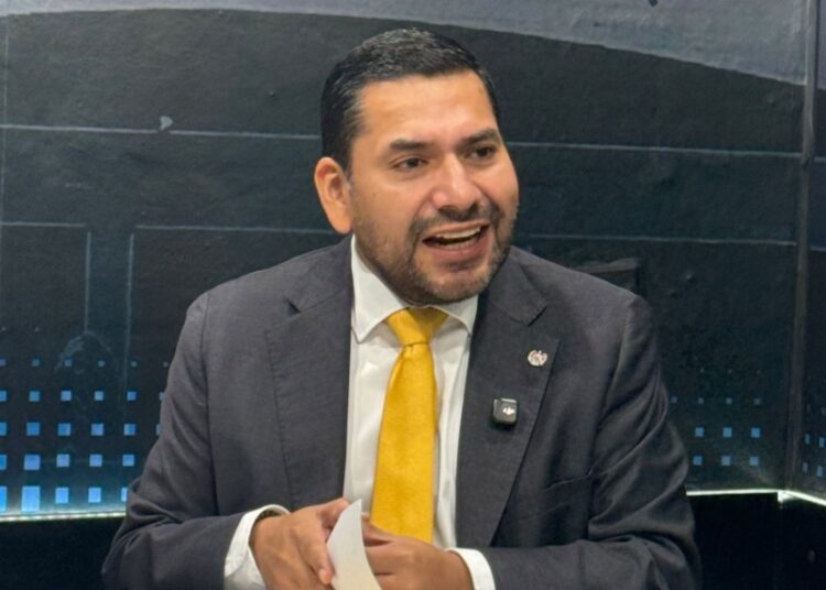 Diputado de ARENA cuestiona las acciones para fortalecer la producción agrícola nacional