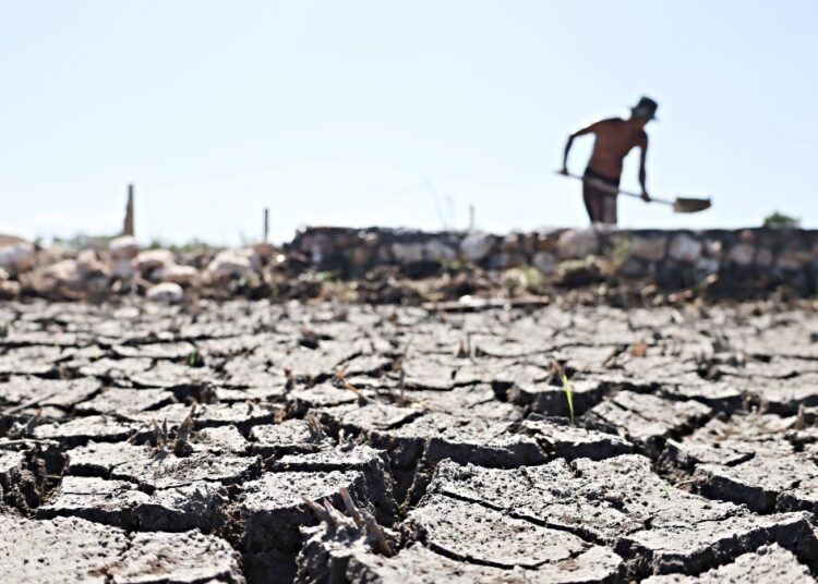 Estados Unidos canaliza $55 millones como apoyo a El Salvador debido a emergencia por sequía