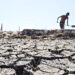 Estados Unidos canaliza $55 millones como apoyo a El Salvador debido a emergencia por sequía