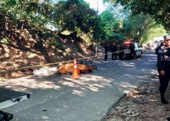 Motociclista fallece tras chocar con una vaca