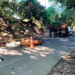 Motociclista fallece tras chocar con una vaca