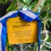 Maquilishuat salvadoreño llega al Jardín Botánico de Meise en Bélgica