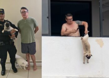 Denuncia por maltrato animal termina con la captura de un hombre en San Salvador