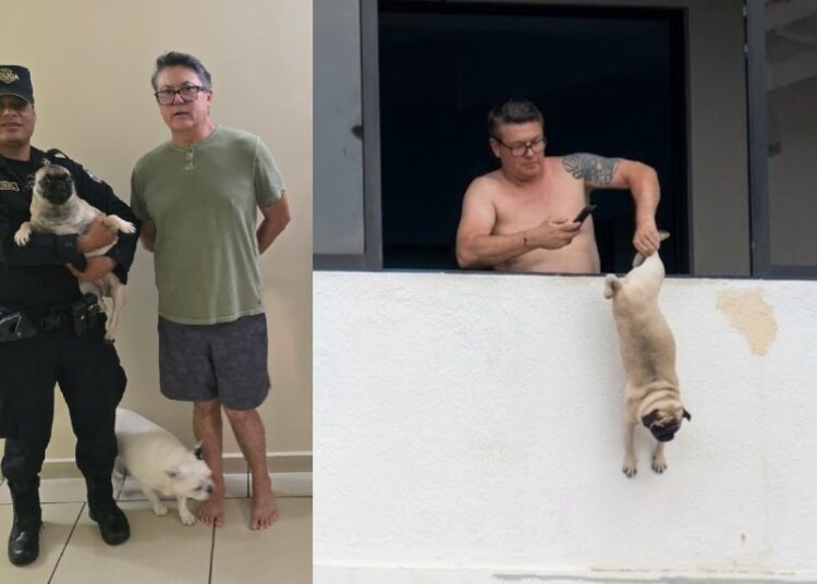Denuncia por maltrato animal termina con la captura de un hombre en San Salvador