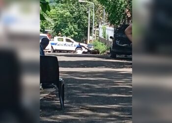 Persona muere tras caer de un árbol que estaba podando en San Miguel