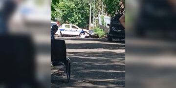 Persona muere tras caer de un árbol que estaba podando en San Miguel 